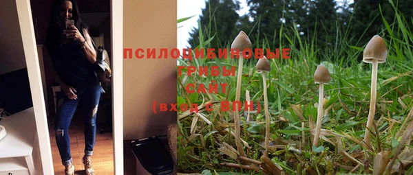 метадон Алзамай