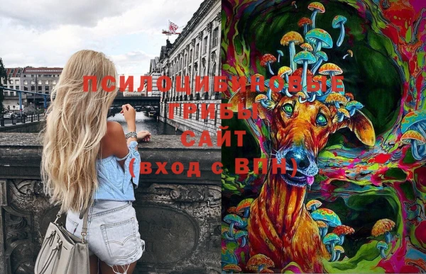 метадон Алзамай