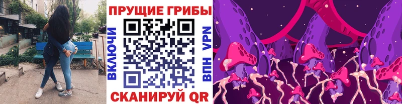 Галлюциногенные грибы Psilocybine cubensis  где можно купить   дарк нет состав  Пермь 